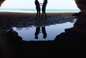 Boa Vista : visite combinée d'une jounée avec déjeuner