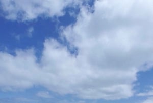 Boa Vista : visite combinée d'une jounée avec déjeuner