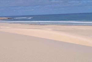 Boa Vista : visite combinée d'une jounée avec déjeuner