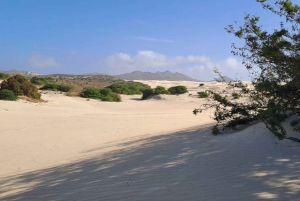 Boa Vista: tour combinado de día completo con almuerzo