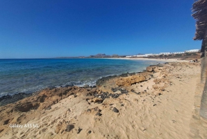 Boa Vista: tour combinado de día completo con almuerzo