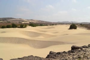 Boa Vistan koko päivän retki nelivetoisella jeepillä