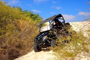 Boa Vista Island: 2h Thrilling Buggy Experience