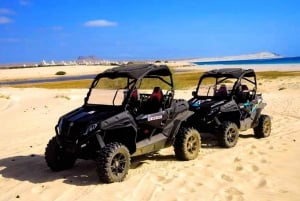 Boa Vista Island: 2h Thrilling Buggy Experience