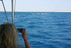 Boa Vista Island: 3-Hour Whale Watching Experience