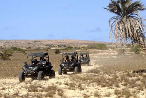 Boa Vista Island: Dunes, Desert &Sal Rei 4WD Buggy Adventure