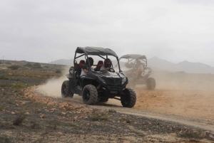 Boa Vista-øen: Klitter, ørken & Sal Rei 4WD Buggy Adventure