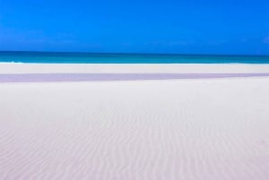 Île de Boa Vista : Visite guidée de la plage et des grottes de Santa Monica