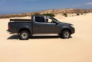 Île de Boa Vista : Visite guidée de la plage et des grottes de Santa Monica