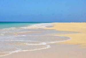 Île de Boa Vista : Visite guidée de la plage et des grottes de Santa Monica