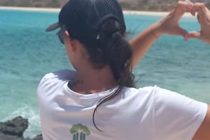 Tour in jeep 4x4 al faro di Boa Vista e all'est selvaggio