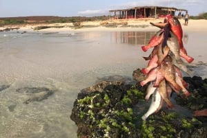 بوا فيستا: غداء جراد البحر على شاطئ سانتا مونيكا