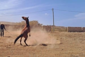 Боа-Виста: экскурсия по местным деревням с типичным обедом