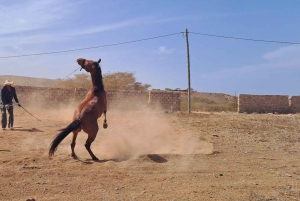 بوا فيستا: جولة إرشادية في القرى المحلية مع غداء نموذجي