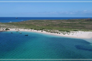 Boa Vista: Motoryacht-tur med fiskeri, snorkling og grill på stranden