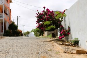 Boa Vista: Mysterious Shipwreck & Village Tour