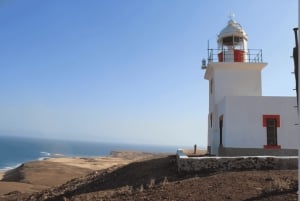 Boa Vista: Passeio pela Ilha do Norte