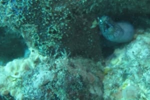 Boa Vista: Private Snorkeling Tour