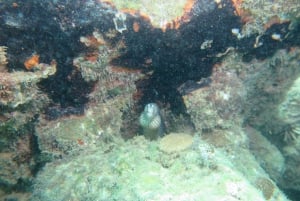 Boa Vista: Private Snorkeling Tour