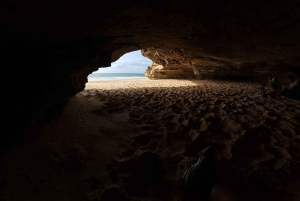 Boa Vista: Tur langs kysten – Santa Monica og Varandinha