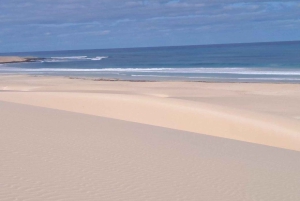 Boa Vista: Tur langs kysten – Santa Monica og Varandinha