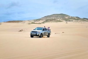 Sal Rei: Boa Vista Sharks, Turtles, Caves, Sandboarding Tour