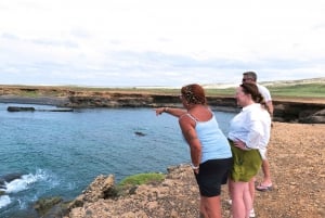 Sal Rei: Boa Vista Sharks, Turtles, Caves, Sandboarding Tour