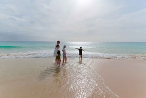 Sal Rei: Boa Vista Sharks, Turtles, Caves, Sandboarding Tour