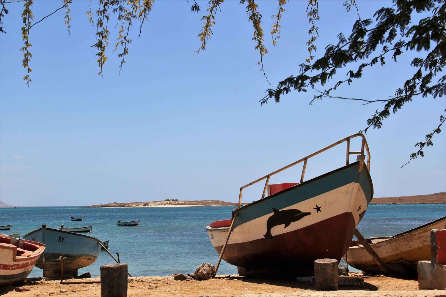 Boa Vista: Naufragio, deserto di Viana e tour di Sal Rei