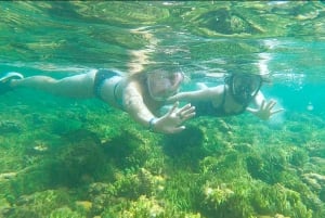 Boa Vista: Snorkling vid Gatas Bay och nordöstra turen