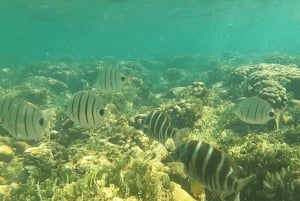 Boa Vista: Snorkling vid Gatas Bay och nordöstra turen