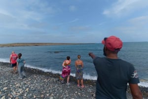 Boa Vista: Snorkling vid Gatas Bay och nordöstra turen