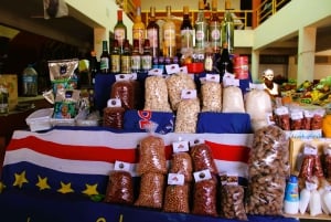 Passeio pelo sul de Boa Vista: Santa Mónica, Turtle Bay e falésias