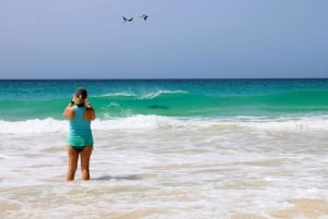 Passeio pelo sul de Boa Vista: Santa Mónica, Turtle Bay e falésias