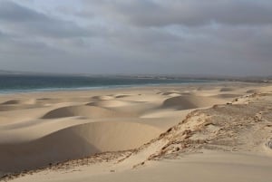 Boa Vista: passeio de dia inteiro em Boa Vista com almoço