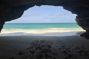 Boa Vista: passeio de dia inteiro em Boa Vista com almoço