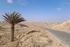 Boa Vista: passeio de dia inteiro em Boa Vista com almoço