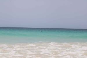 Boa Vista: passeio de dia inteiro em Boa Vista com almoço