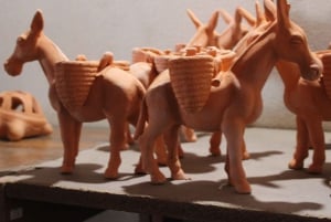 Boa Vista: passeio de dia inteiro em Boa Vista com almoço