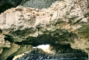 ボート ツアー - アグアス ベラス洞窟 - リベイラ ダ バルカ