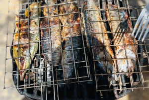 Поездка на лодке к пещере Агуас-Белас + барбекю