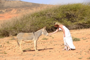 ボアヴィスタ：ソーシャルメディアサファリ、インスタグラムの象徴的なスポットツアー