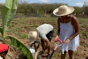 Viaje Cabrer - Vive un día como un Cabrer en Boa Vista