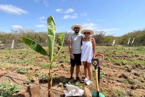 Viaje Cabrer - Vive un día como un Cabrer en Boa Vista