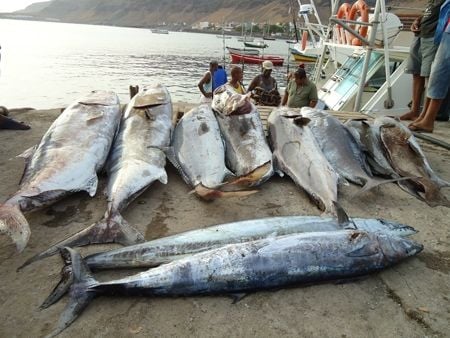 Cape Verde Big Game Fishing