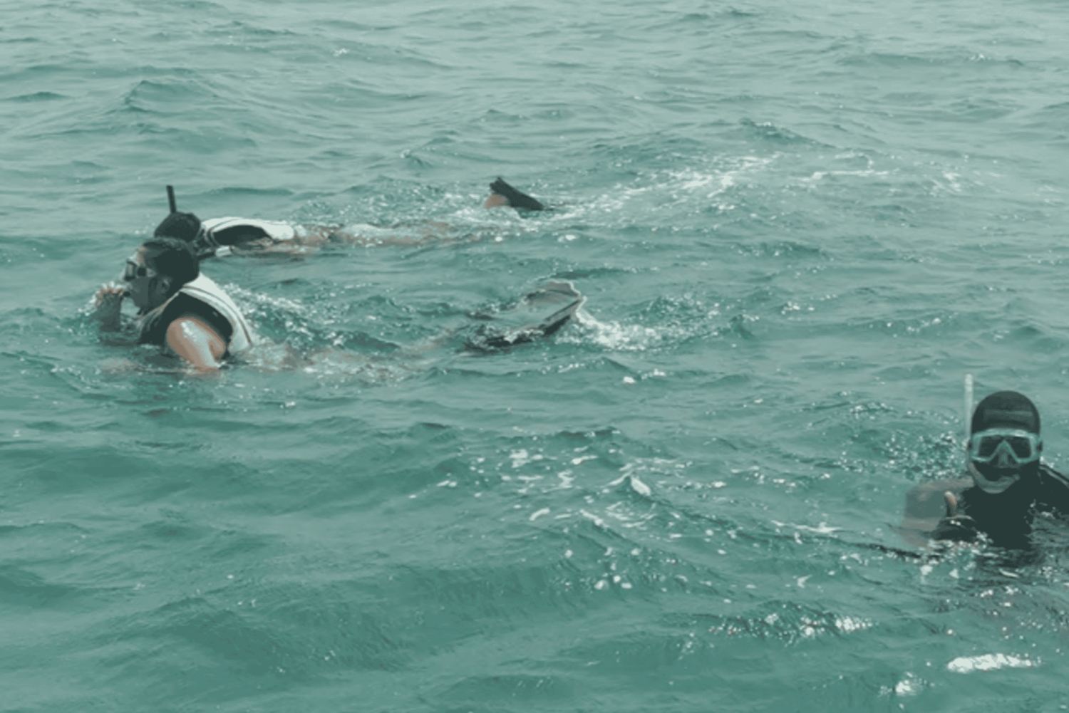 Kaapverdië: Privétour snorkelen