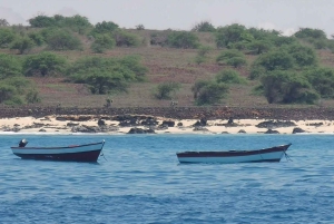 Cape Verde: Private Snorkeling Tour