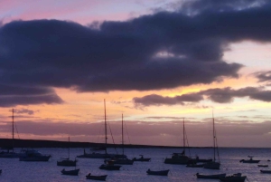 Cape Verde: Private Snorkeling Tour