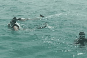 Kaapverdië: Privétour snorkelen