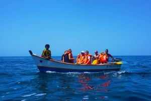 From Praia: Tarrafal Bay Boat Trip and Beach Day